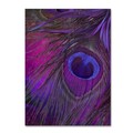 Trademark Fine Art Color Bakery 'Peacock Candy IV' Canvas Art, 14x19 ALI4258-C1419GG